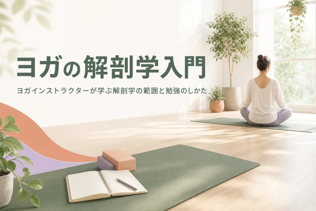 ヨガインストラクターに必要な解剖学の範囲と勉強のしかたを解説する記事のアイキャッチ