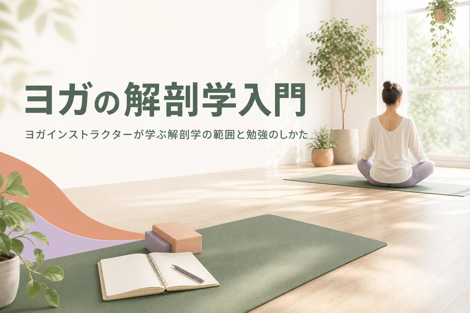 ヨガインストラクターに必要な解剖学の範囲と勉強のしかたを解説する記事のアイキャッチ
