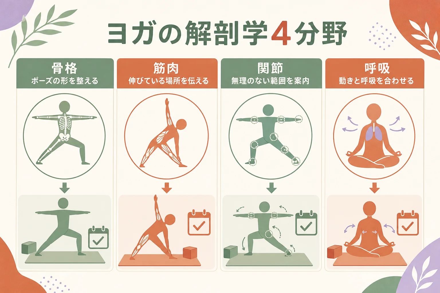 ヨガの解剖学を骨格・筋肉・関節の動き・呼吸の4つに分け、レッスンで使う場面と結びつけた対応表の図解